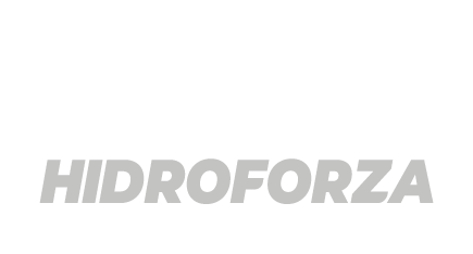 Hidroforza
