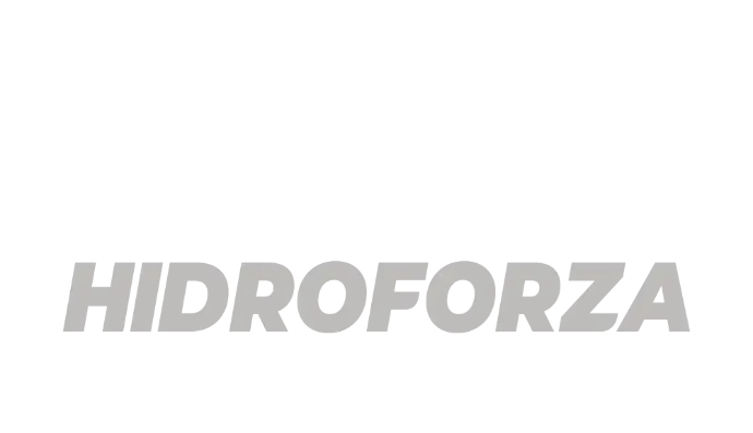 Hidroforza